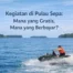 Kegiatan di Pulau Sepa